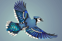 Eläinten maalaussapluunoita - Blue Jay passerine lintu
