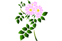 Stenciler olika motiv blommor - Wildflowers 68
