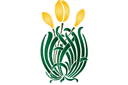 Sabluunat kukkien piirtämiseen - keltaiset tulppaanit