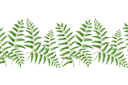 Löv och växter schabloner - Ormbunke bård 12