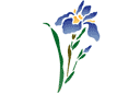 Stenciler olika motiv blommor - Oriental Iris