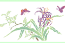 Sabluunat kukkien piirtämiseen - Liljat ja perhoset