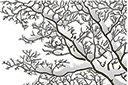 Vinterschabloner - Trädgren inslagna i snö