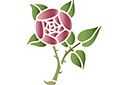 Stenciler olika motiv blommor - Runda ros 4