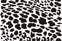 Grossist av djur bilder schabloner - Leopardskinn. Set om  4 st.