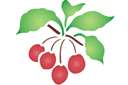 Schabloner för kökdekor - En gren av körsbär