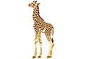 Ritmallar schabloner djur - Cub Giraffe