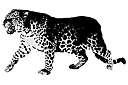 Eläinten maalaussapluunoita - Leopardi