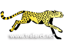 Ritmallar schabloner djur - Cheetah
