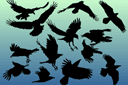 Schablonmålning - siluetter - En flock korpar