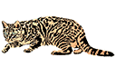Eläinten maalaussapluunoita - Kissa hiipi