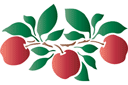 Hedelmät sabluunat - omenamotiivi (teema)
