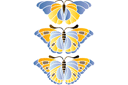 Schabloner med fjärilar - Stor fjäril 2