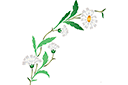 Stenciler olika motiv blommor - Vilda prästkragar - båge