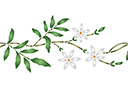 Stenciler olika motiv blommor - Bård av Jasmine