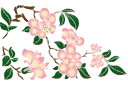 Itämaisilla kuvioilla sabloonat - kiinalainen magnolia
