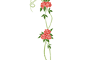 Ruusut sablonit - pitkä ruusut