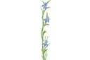 Stenciler olika motiv blommor - Stora Iris