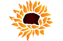 Sabluunat kukkien piirtämiseen - Yksinäinen auringonkukka