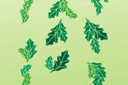 Löv och växter schabloner - Magic Forest 6