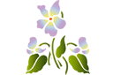 Sabluunat kukkien piirtämiseen - Viola 70