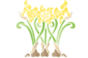 Sabluunat kukkien piirtämiseen - kolme narsissia