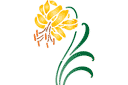 Sabluunat kukkien piirtämiseen - keltainen lilja