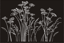 Stenciler olika motiv blommor - Hundkäx blomma