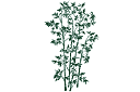 Löv och växter schabloner - Stor bambubuske