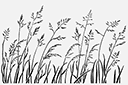 Бордюры с растениями - Степная трава