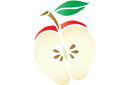 Kasvi-sabluunoita - TUKKUOSASTO - omenan puoli. Pakk.:  6 kpl.