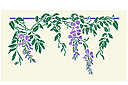 Flora bårder med färdiga schabloner - De flesta wisteria