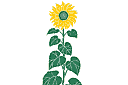Schabloner på trädgårdstema - Sunflower