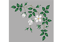 Ruusut sablonit - Valkoinen ruusunmarja - kulmamalli