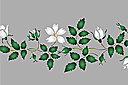 Kukkatapettiboordi - Valkoinen ruusunmarja - boordi