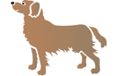 Eläinten maalaussapluunoita - Koira