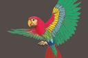 Ritmallar schabloner djur - Stor papegoja