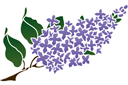Schabloner på trädgårdstema - Lilac gren