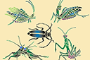 Perhoset ja sudenkorennot sapluunat - Viisi hyönteiset
