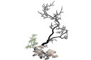 Sapluunat puiden piirtämiseen - Puu kalliolla