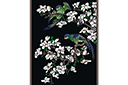 Sapluunat puiden piirtämiseen - Papukaijat ja magnolia