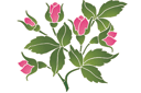 Ruusut sablonit - ruusumotiivi (teema)