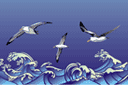 Meren sabluunat - myrsky ja albatrossit