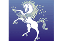 Eläinten maalaussapluunoita - valkoinen hevonen