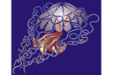 Meren sabluunat - iso meduusa