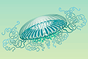 Meren sabluunat - Iso meduusa 3
