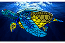 Ritmallar schabloner djur - Stor havssköldpadda