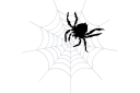 Hyönteissabluunat - Iso hämähäkki ja hämähäkinverkko