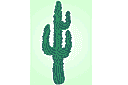 Latinamerikansk schabloner - Kaktus