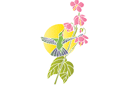 Sabluunat kukkien piirtämiseen - Kolibri ja kukat